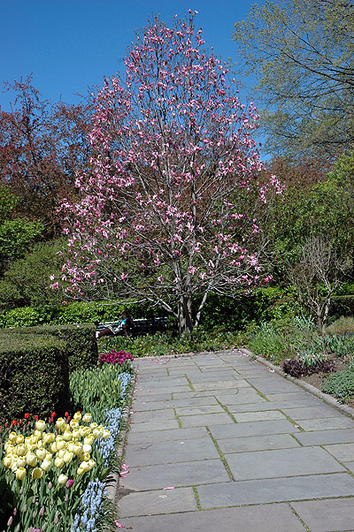 Central Park 052.JPG